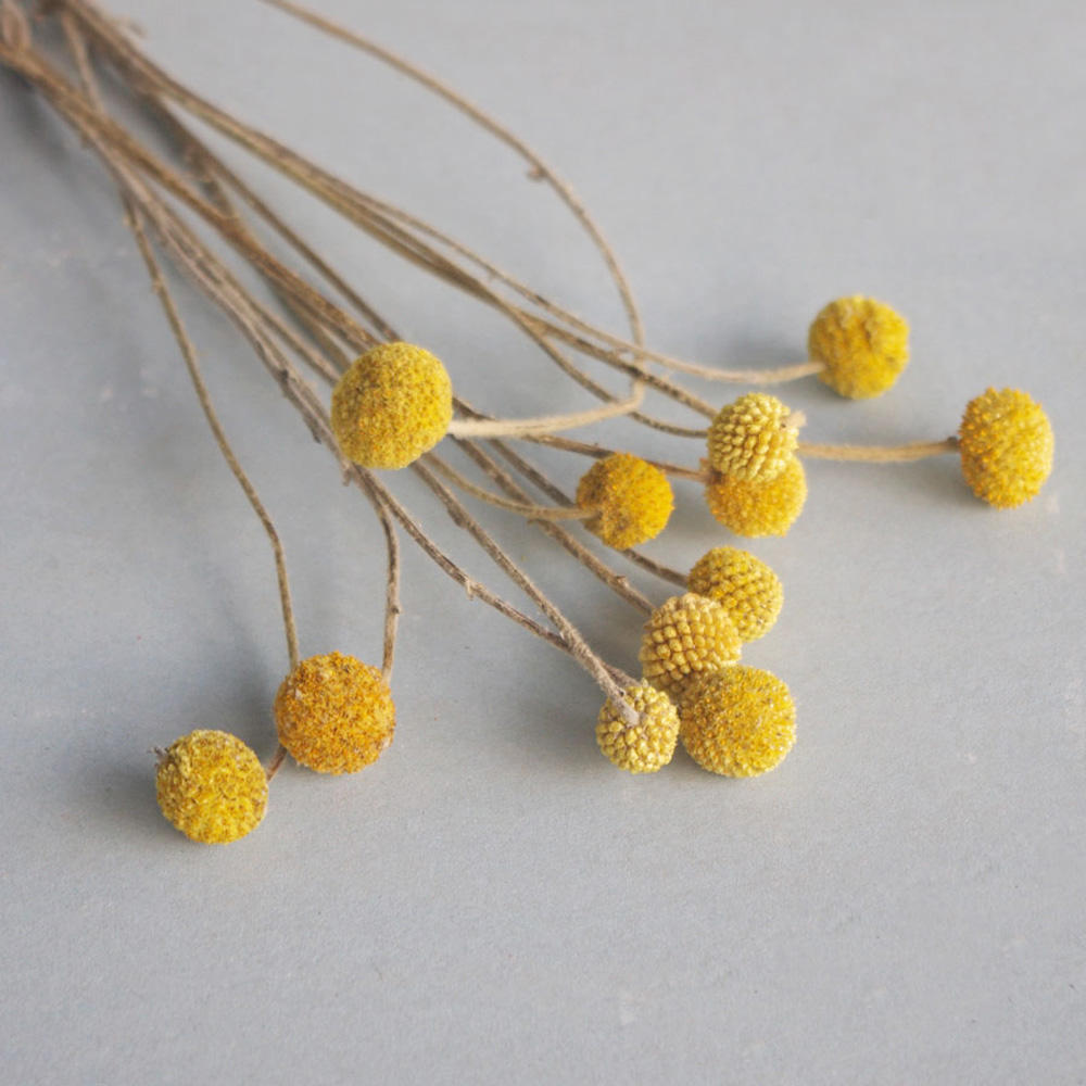Dried Flower Bunch - 20 sztuk Naturalne suszone bukiety kwiatów
