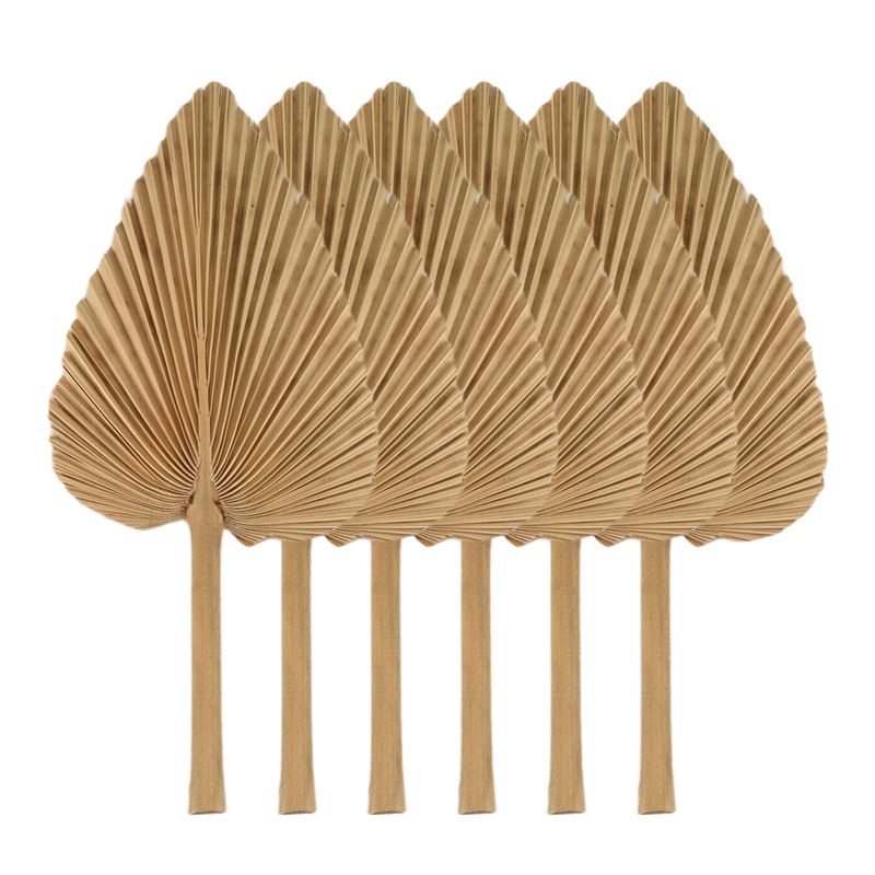 Palm Leaf Dried - AT84-6PCS Suszone Liście Palmy Naturalne Suszone