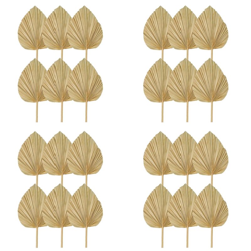Palm Leaf Dried - 【BOŻE NARODZENIE】24 SZT. Suszone Liście Palmy