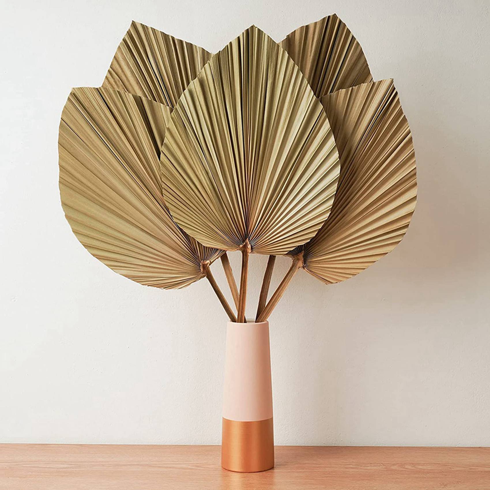 Palm Leaf Dried - Suszone liście palmowe do dekoracji wnętrz,