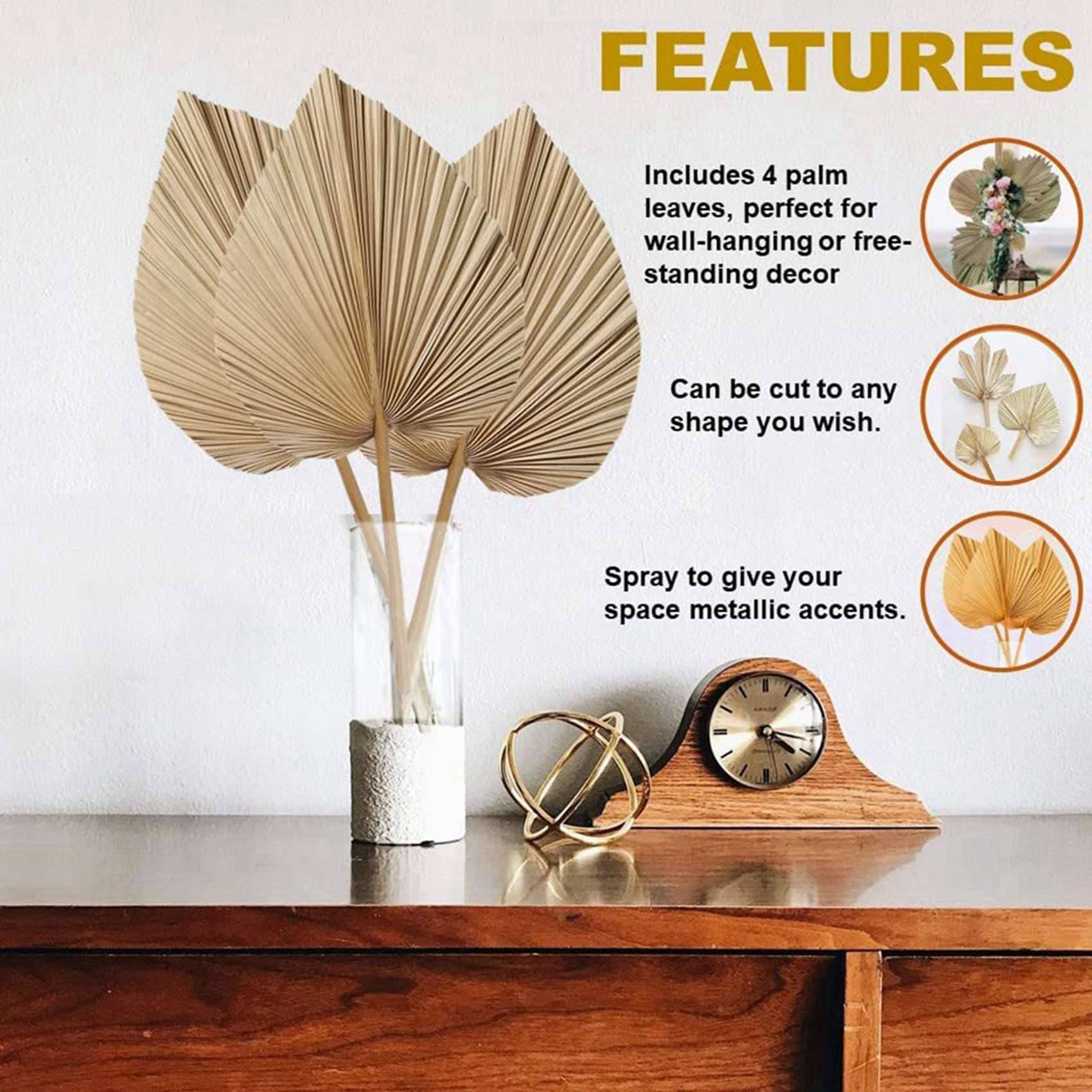 8 sztuk naturalnych suszonych  – Palm Leaf Dried recenzja i cena