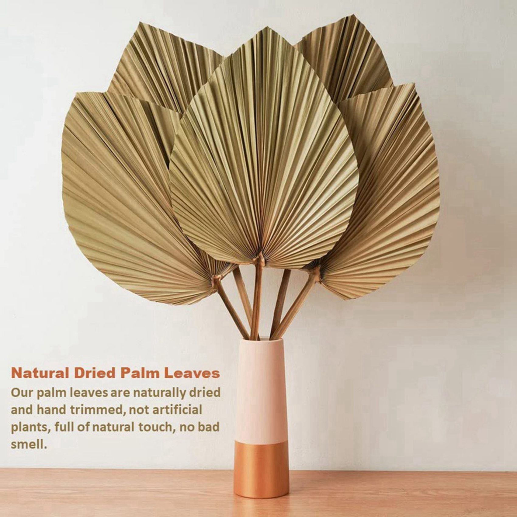8 sztuk naturalnych suszonych  – Palm Leaf Dried recenzja i cena