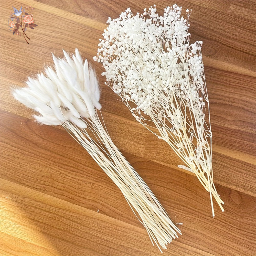 54 szt. Białe Suszone Kwiaty B – Dried Flower Bunch recenzja i cena