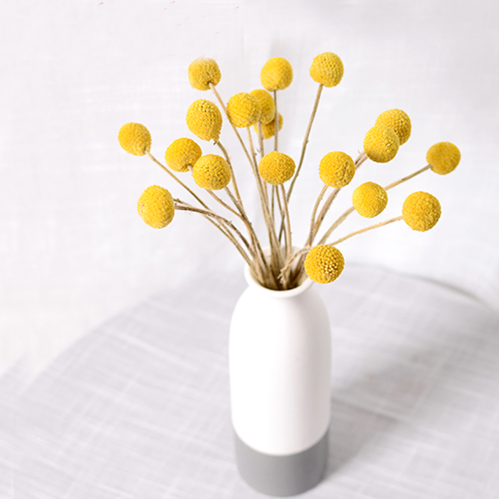 20 sztuk Naturalne suszone buk – Dried Flower Bunch recenzja i cena