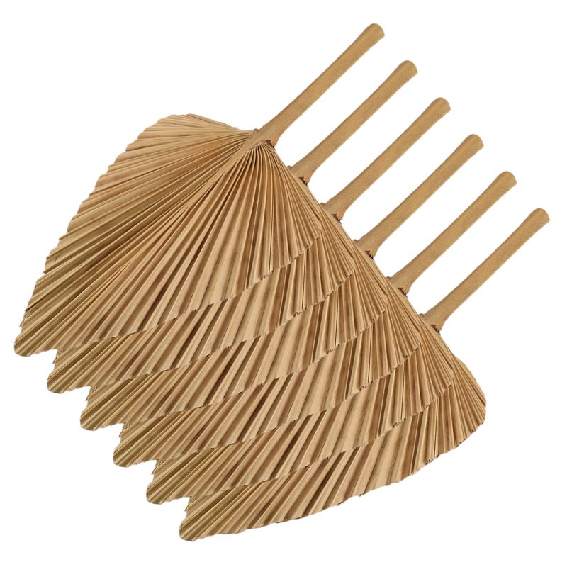 AT84-6PCS Suszone Liście Palmy – Palm Leaf Dried recenzja i cena