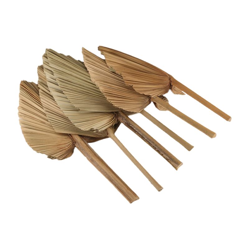AT84-6PCS Suszone Liście Palmy – Palm Leaf Dried recenzja i cena