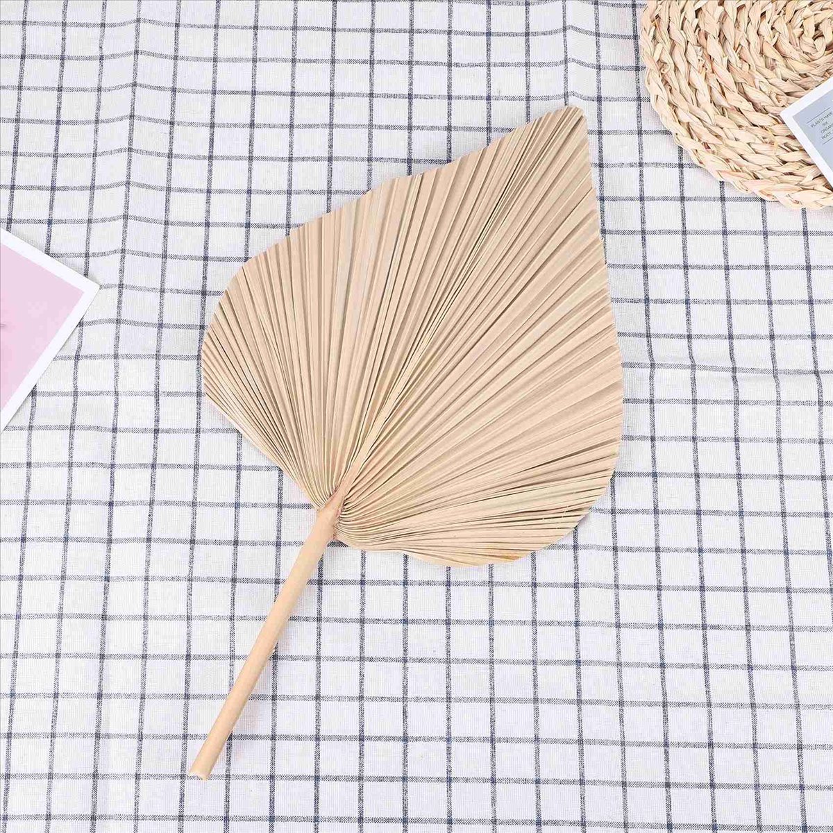 NOCM Suszone Liście Palmy Deko – Palm Leaf Dried recenzja i cena