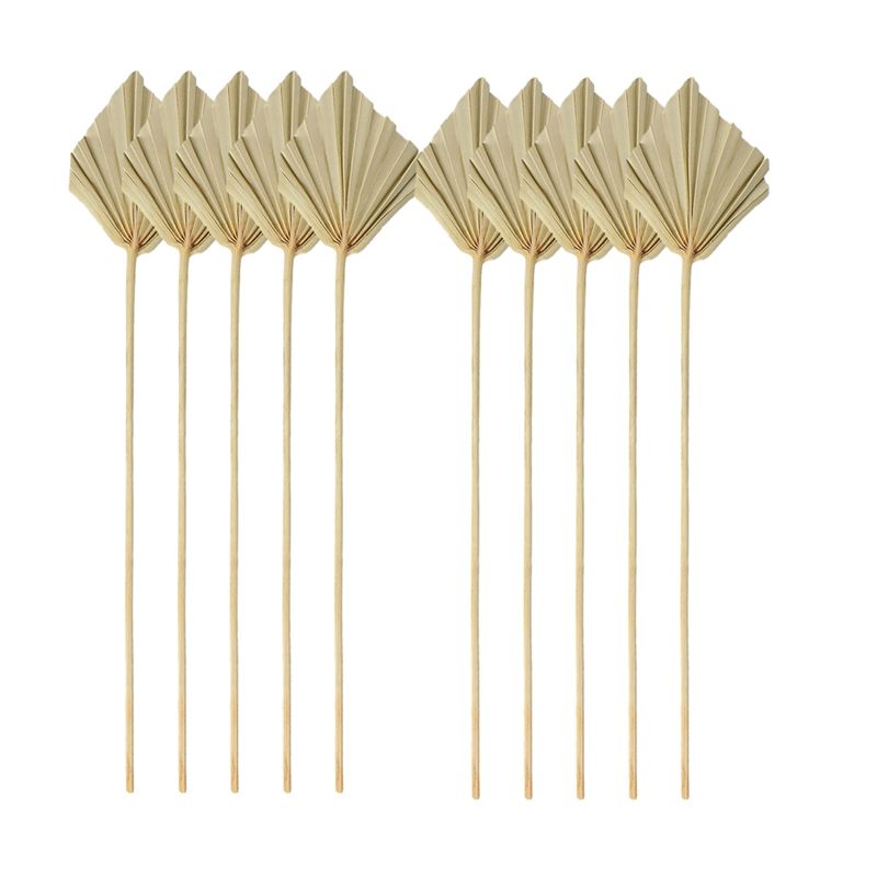 TFORU-Boho Suszone palmy, małe – Palm Leaf Dried recenzja i cena