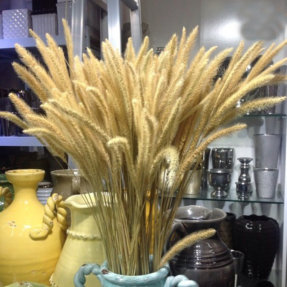 200 sztuk naturalnych suszonyc – Dried Flower Bunch recenzja i cena