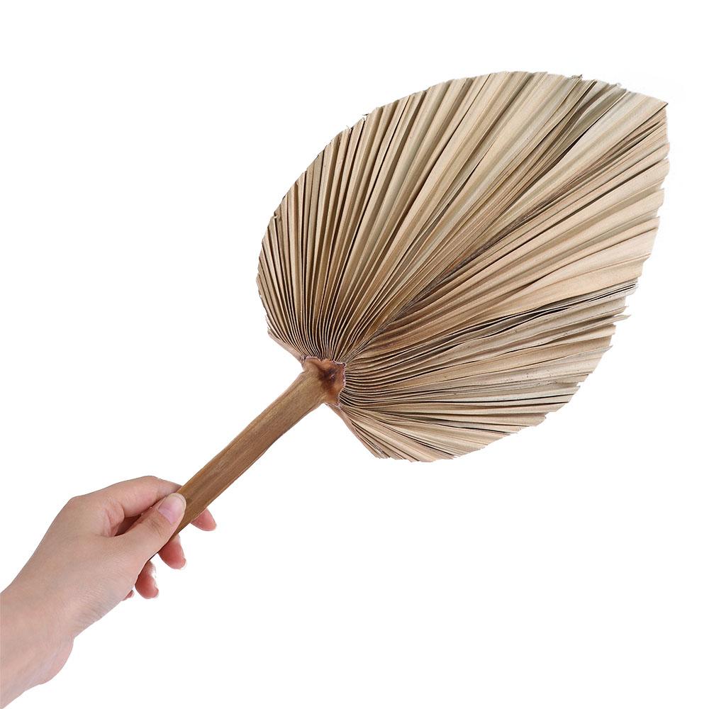 Ozdoby do biura w stylu boho,  – Palm Leaf Dried recenzja i cena