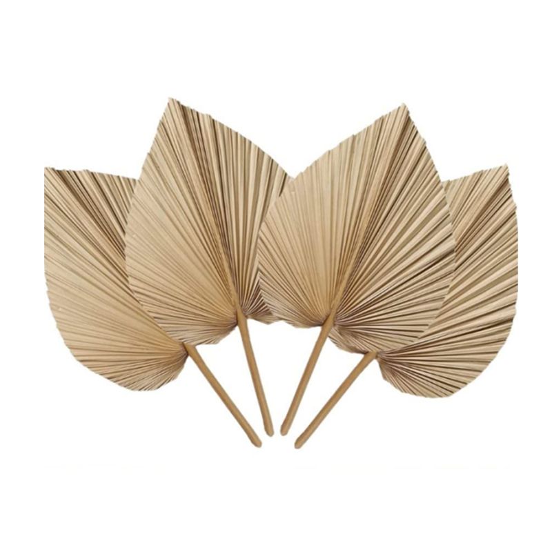 A27F-6 szt. Naturalne, tropika – Palm Leaf Dried recenzja i cena