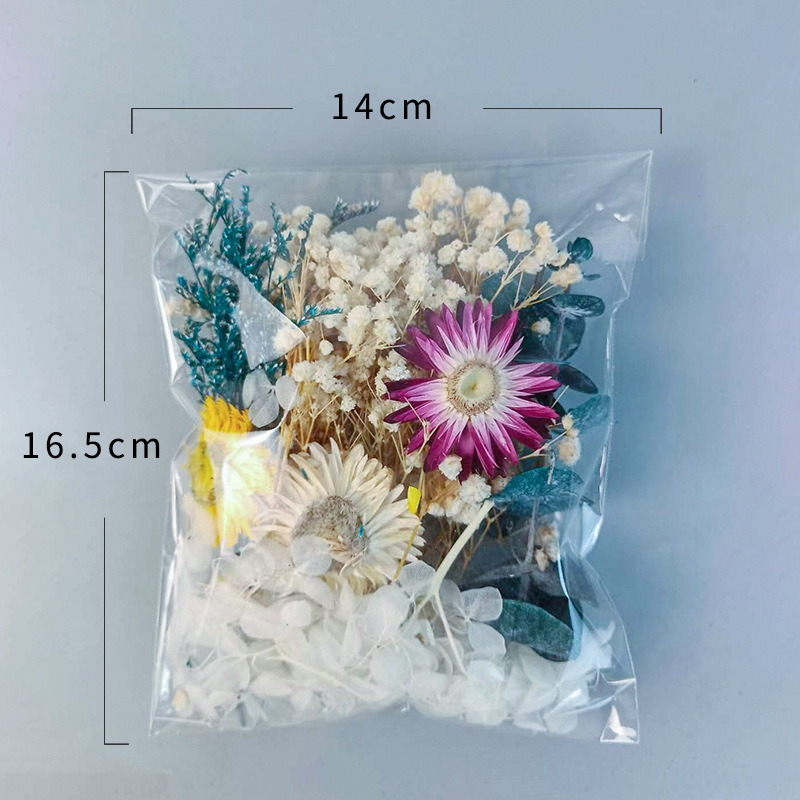 1 zestaw różnorodnych suszonyc – Dried Flower Bunch recenzja i cena
