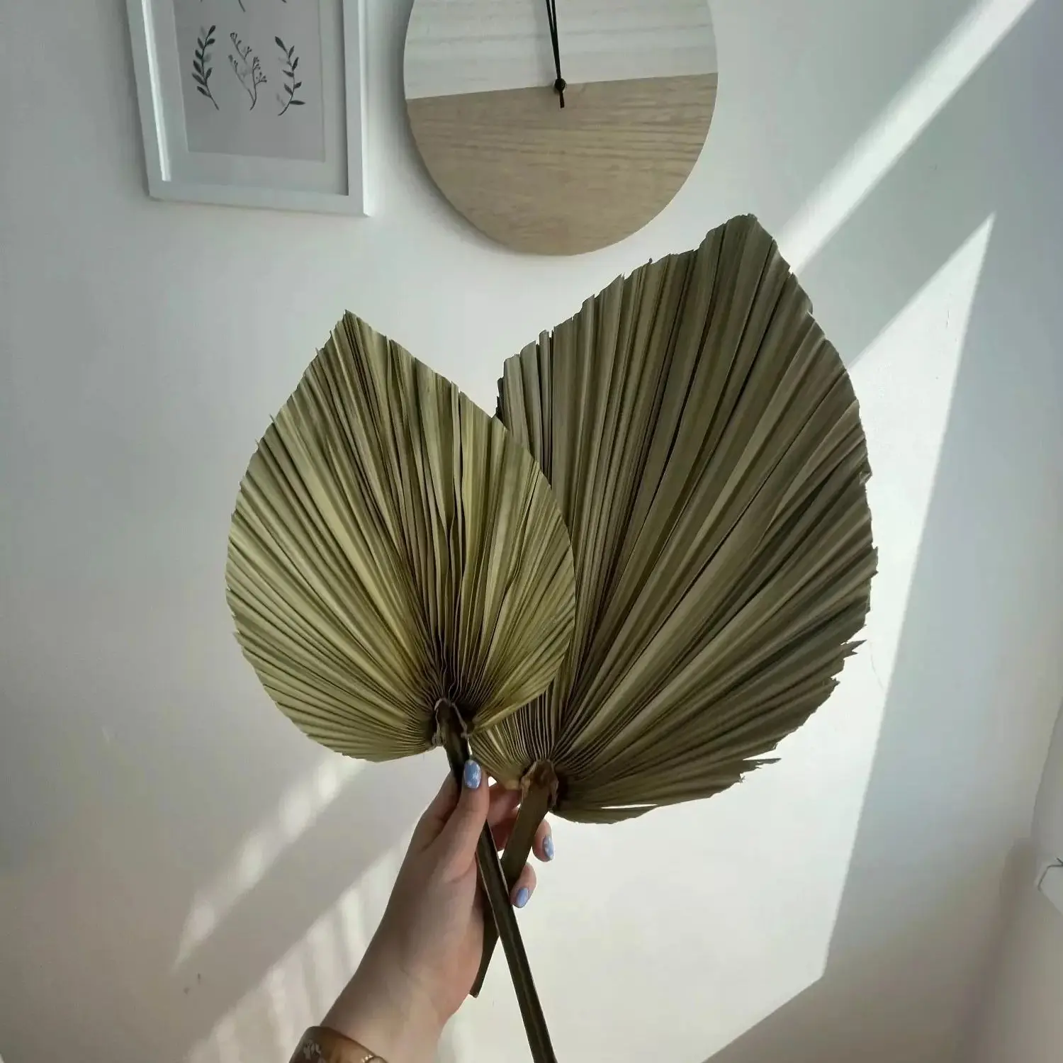 Naturalne suszone liście palmo – Palm Leaf Dried recenzja i cena